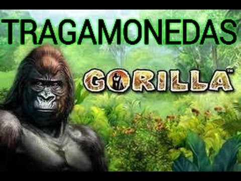 jugar juegos gratis tragamonedas vikingos